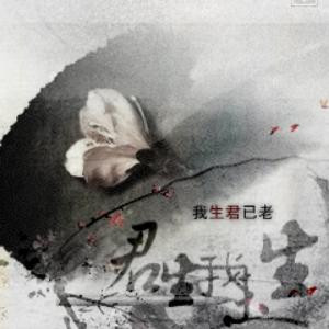 九方巍雪浮连城