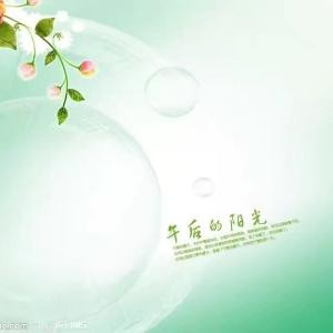 历史的结局
