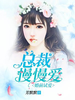 婚前试爱:总裁,慢慢爱