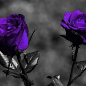 狂暴之神，杀神之王。