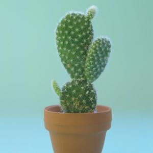夏怡宝贝