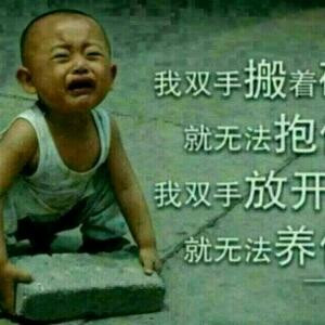 疯子情帝苏小波