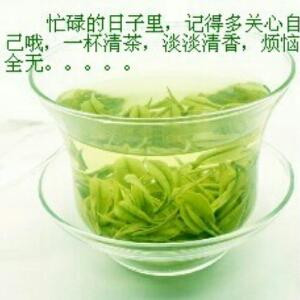 诱惑