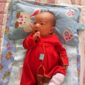 妖精