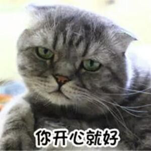 流氓兔