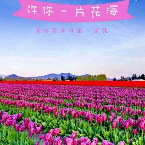 逍遥