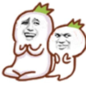 让T随风去
